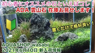 水草水槽初心者にオススメのＡＤＡ雲山石をご紹介！AQUASHOP wasabi２０２１年６月１０日新入荷情報 ＡＤＡネイチャーアクアリウム立ち上げ方法、水草水槽の作り方、レイアウト素材、構図、流木