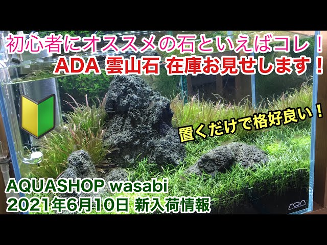 水草水槽初心者にオススメのＡＤＡ雲山石をご紹介！AQUASHOP ...