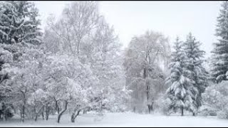 GSM News - Snowstorm to Track From Plains to Midwest and Interior Northeast - More Cases in U.S ! by Grand Solar Minimum GSM News 1,887 views 4 years ago 40 minutes