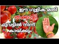  100       thakkali krishi  tomato cultivation malayalam
