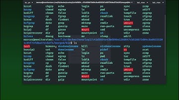 MonitorsTwo HTB Walkthrough | HackTheBox | MonitorsTwo Walkthrough