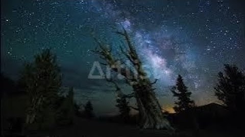 جزء عم من سورة الفجر الى سورة الناس القارئ حسام الدين عبادي 🌼