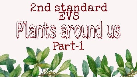 Plants around us - part-1-- 2nd standard - EVS - English medium