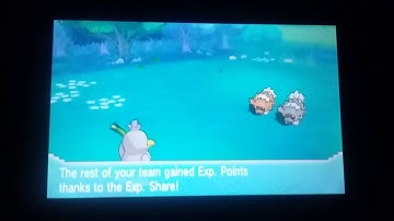 2ND Shiny Zigzagoon [Not Live] [23H.E.]