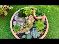 Succulent Arrangement in a repurposed Terracotta Bird Bath dish