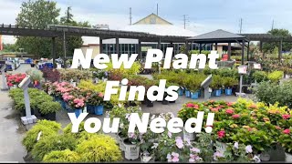  Fresh Finds for Every Garden 🌼Garden Center Shopping|