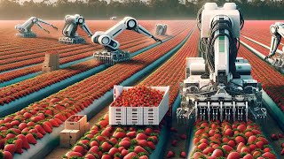 US Farmers Use Both Robots And Machines To Harvest Millions Of Pounds Of Fruits And Vegetables