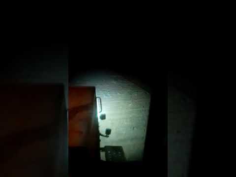 Культивирую пары