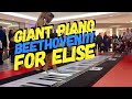 Beethoven Für Elise on GIANT PIANO