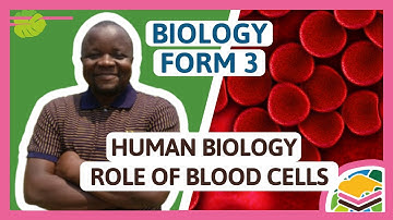 Human Biology - Role of blood cells | F3 Biology