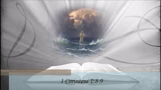 Utu Suteu - Prima bucurie