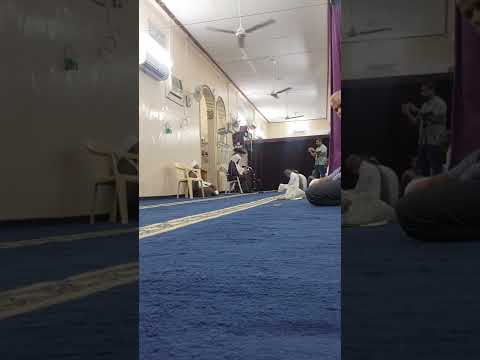 مولد ٢١ يوليو ٢٠٢٢ 