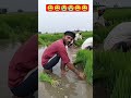 comedy trending video 😭😅😭😃😀😃😀💯😭💯😀💪