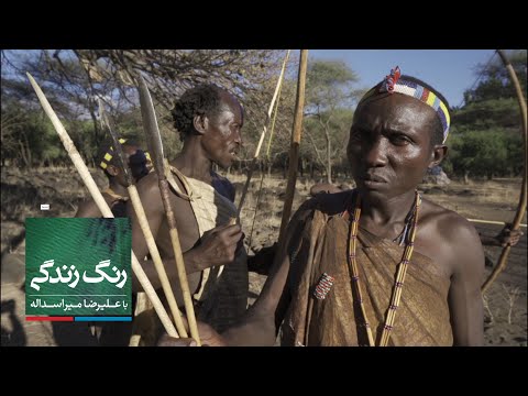 تصویری: آیا قبیله کادو عشایری بودند؟