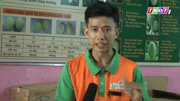 4  Xoài Cát Chu Chú Chín