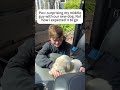 Most emotional puppy surprise for kids😊 #fyp #tiktok #dogs #puppy #doglover