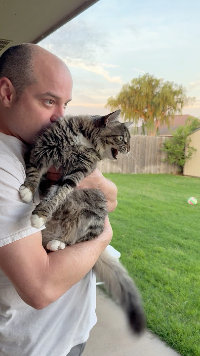 Raven saw a robin || ekekekkekkek