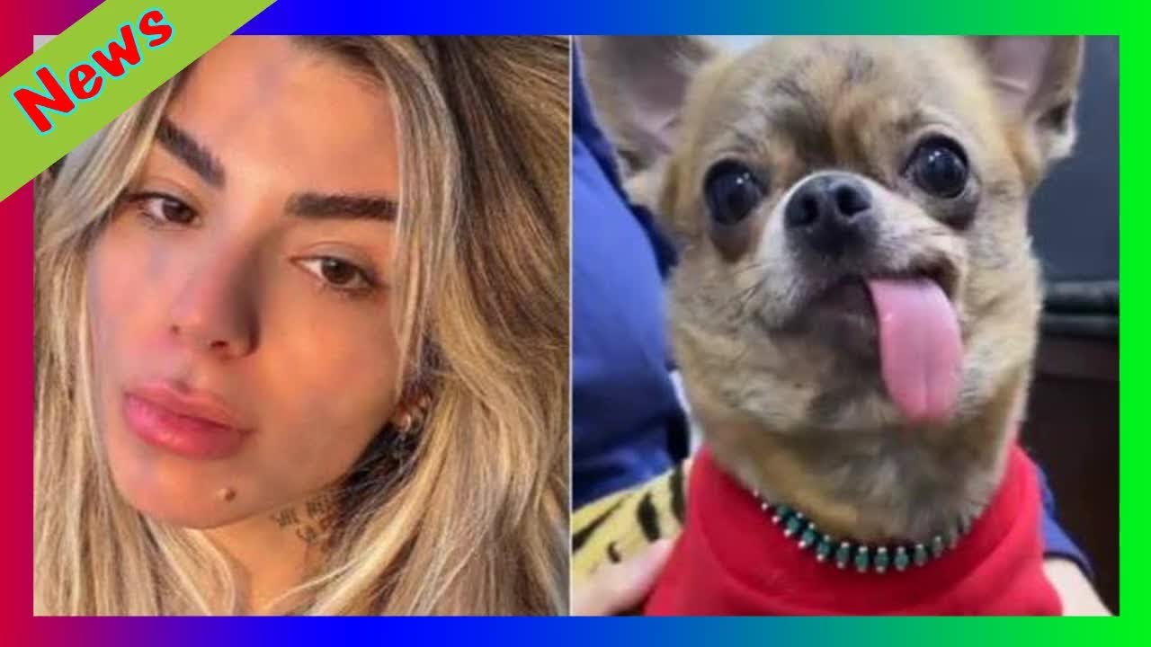 Petra Mattar relata acidente com cão 'Tentei respiração boca a boca'