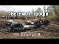 Бегемот трофи 12 мая 2018