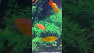 Please Subscribe To My Channel