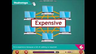 Class 8: Computer Network (CMX)