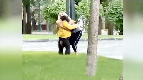 Video: Chimpanzee escapes from zoo and is 