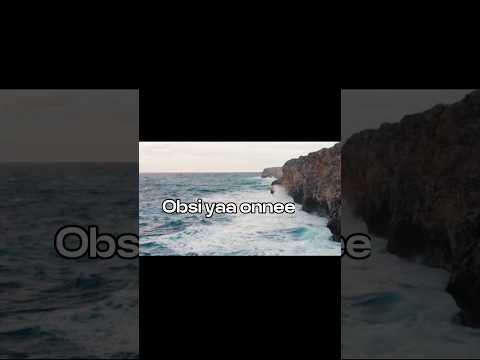 Ali Birra Obsi Yaa Onnee Shortvideo Lyrics Oromomusic Oromomusic