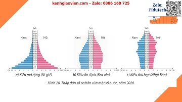 Giáo án powerpoint bài 20: Cơ cấu dân số | GA điện tử địa lí 10 chân trời sáng tạo