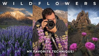 How to Capture SHARP Flowers In Windy Conditions | Landscape Photography Tips & Techniques