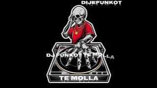 DJ FUNKOT #temolla SOUND ARDYARTHA FUNKOT fyp tik-tok