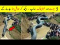 5 Most Largest Snakes Found in the World | Biggest Snake of the World (Urdu/Hindi)