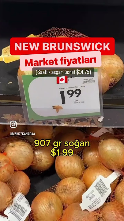 New Brunswick  Market Fiyatları #kanada