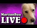 Chicken Stream