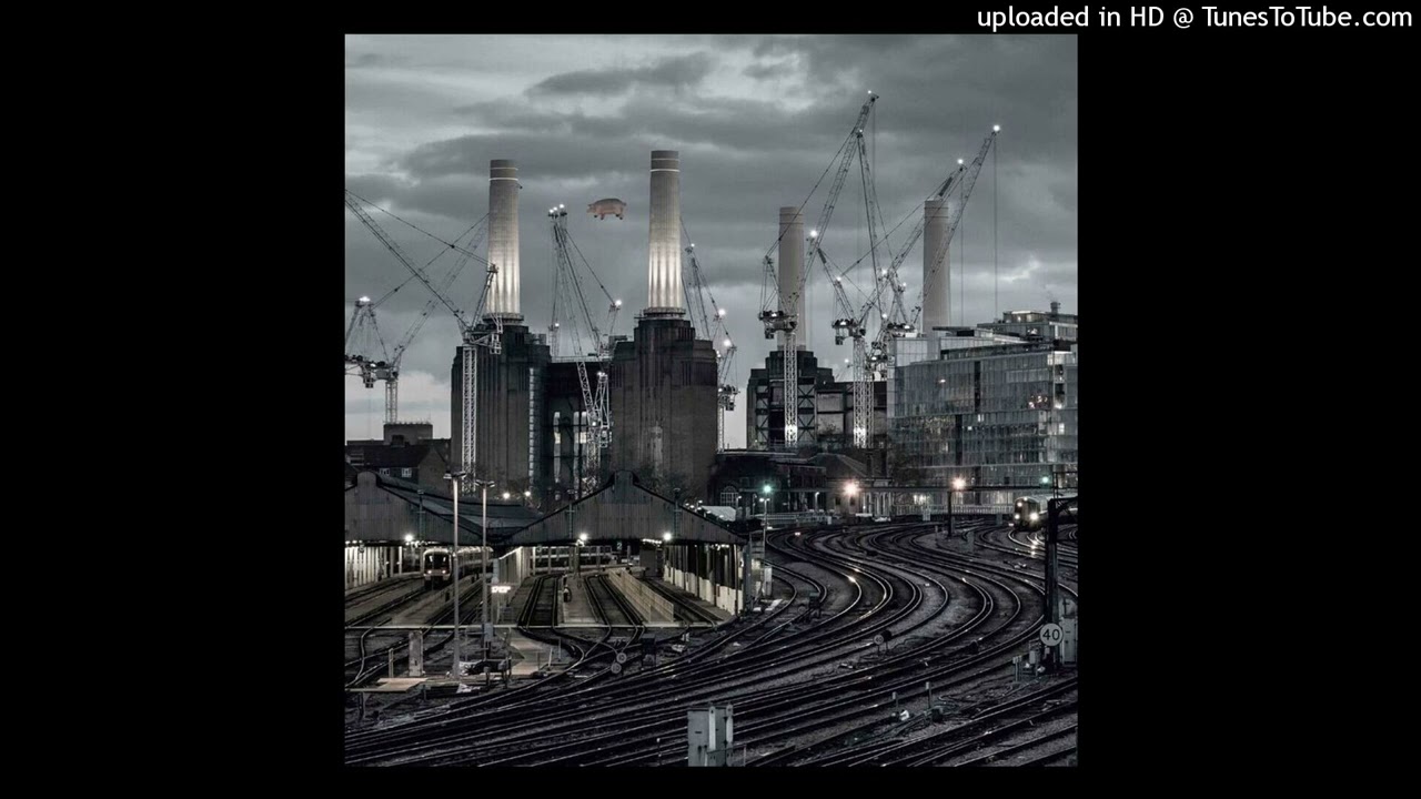 Pink Floyd - Pigs (Three Different Ones) (2018 Remix)