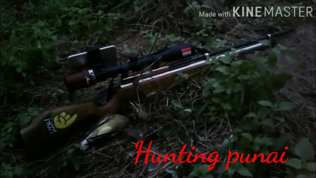 Hunting punai lagi 