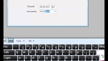 Microsoft DateTimePicker Vs DevExpress DateEdit VB.NET Tutorials