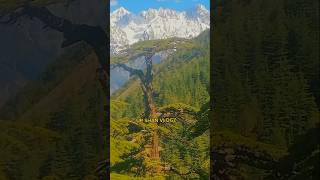Beautiful Pine Forest to Snowy Mountain Peaks in Chitral | Real Nature View 🏔️🌲❄️”
