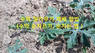 서울시 친환경농장 조안면 삼봉리 농장에 가다 - 주말농장 약도 및 가는 길