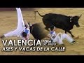 ESTO ES JUGÁRSELA / VALENCIA - ASES Y VACAS DE LA CALLE 20/07/2016