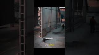 Cengo Burakı Vuruyor Hissiz Profil