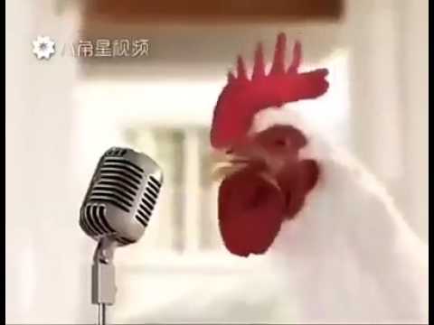 მამლის წელი მოდისო და axal wels gilocavt