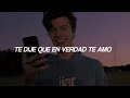 Shawn Mendes - Song For No One // Traducida al español
