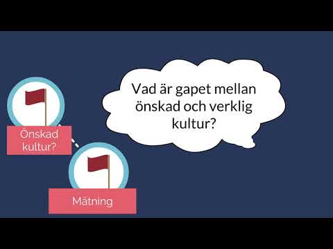 Hur utveckla organisationskultur?