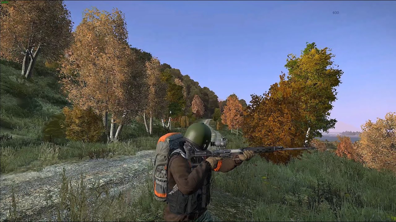 Dayz gun