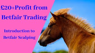 Betfair Trading Beginners Course: £20 Profit from Trading Introduction