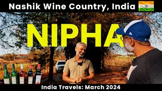 Nashik Wine Country - Nipha Winery | Indian Travel (March 2024)