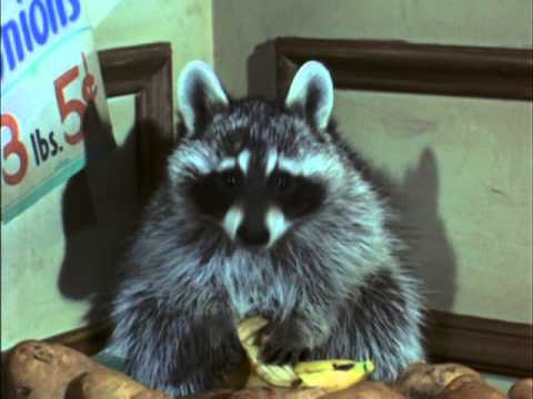 Ranker Video