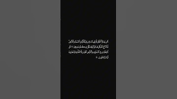 الشيخ احمد حمادي سورة النمل