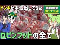 ドンキが覚醒⁈ロビンフッドの「おにぎり&惣菜」を食べ比べするのだ！ずんだもんレビュー