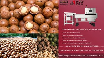 AMD X-ray Sorter Machine Price for Hawaii Macadamia Nuts Sorting